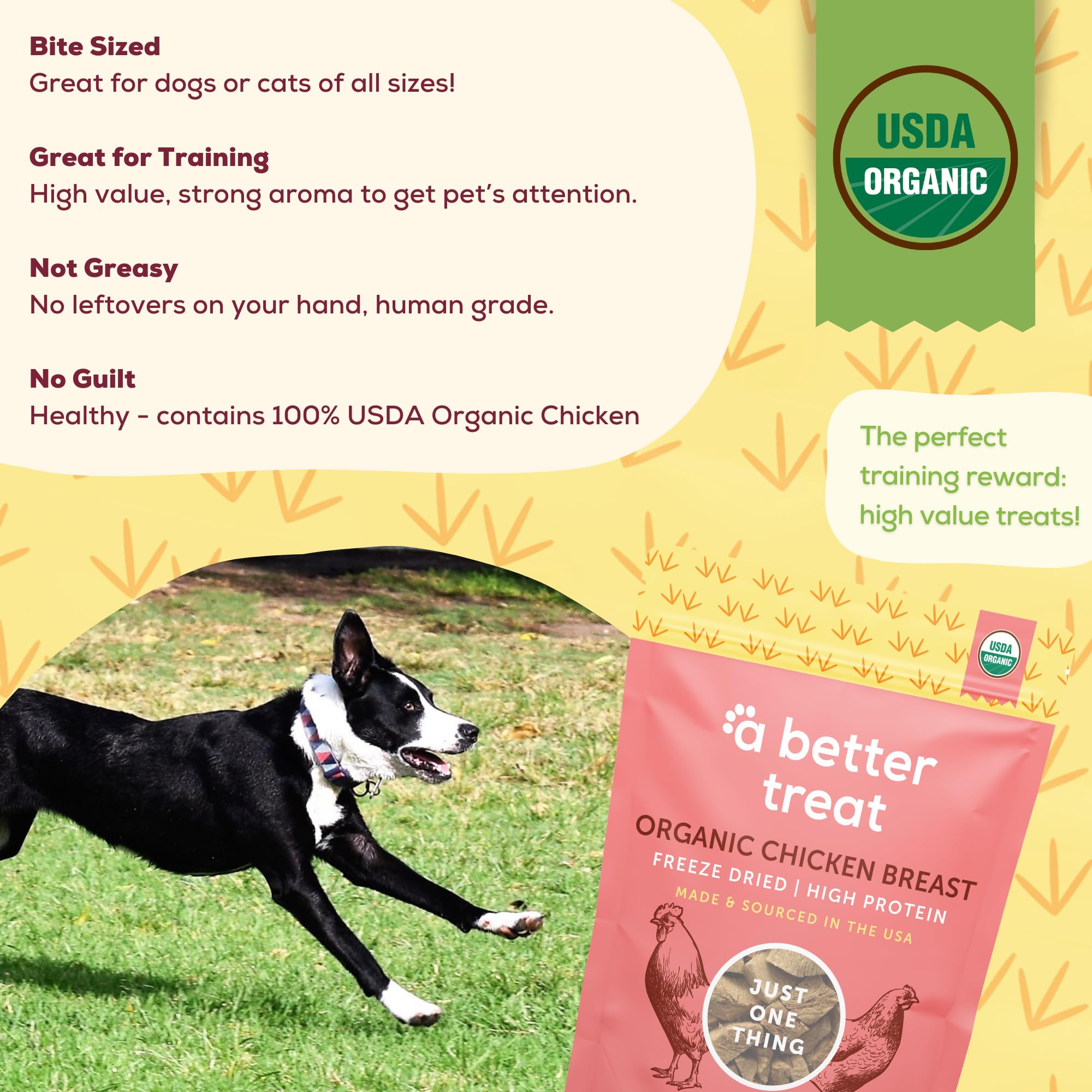 A Better Treat: perro feliz recibe premio crujiente y sabroso