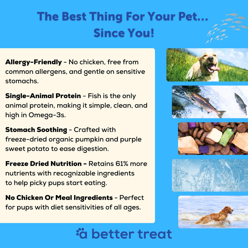 A Better Treat trozos de salmón secos, fuente de Omega-3 para pelaje