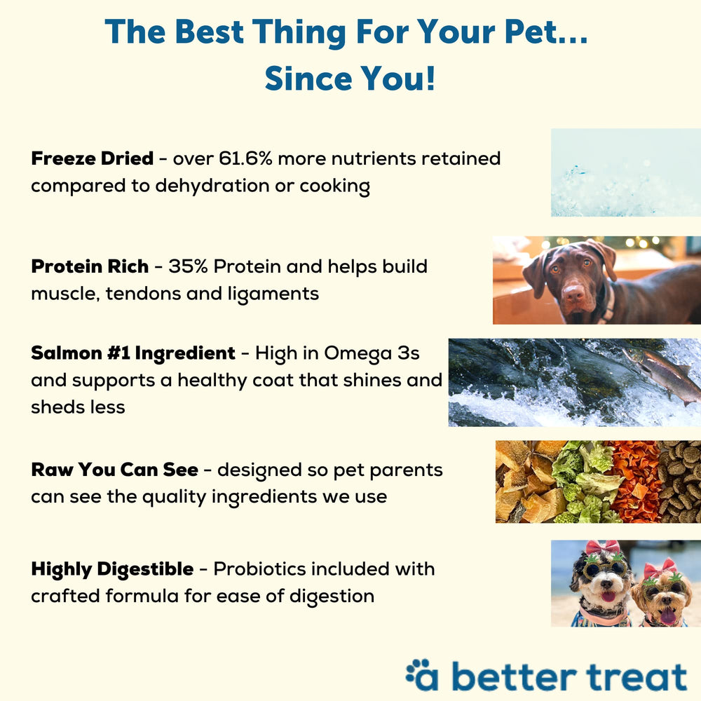 A Better Treat comida con ingredientes simples, brócoli y zanahoria para perros.
