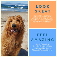 A Better Treat kibble alto en proteína para perros, ayuda a músculos sanos.