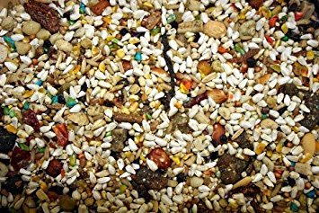 ABBA 1300, pájaros comiendo: opción de dieta balanceada para aves grandes.