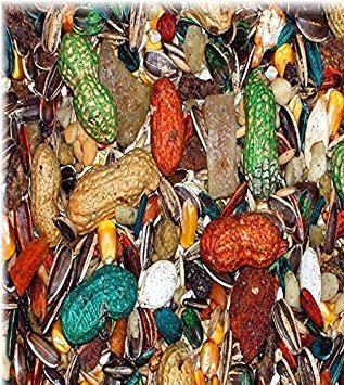 ABBA 1500 para loros grandes, porción diaria sin desperdicio y nutrición completa.