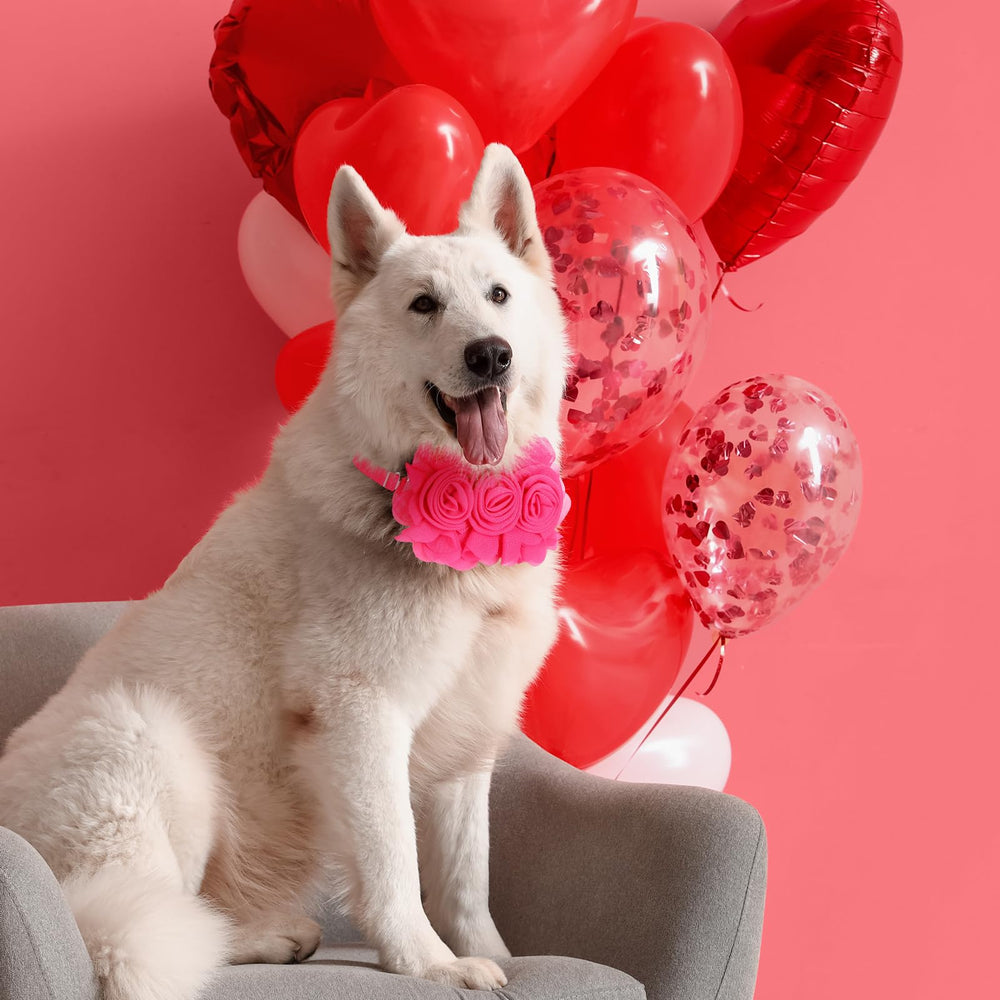 Abbylike ajuste de collar de 28 a 39 cm para mascotas