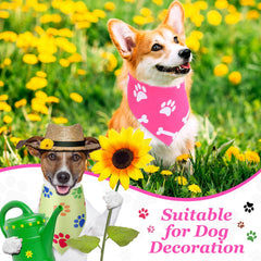 Abbylike Bandanas con diseños de patitas y corazones, ideales para fotos.