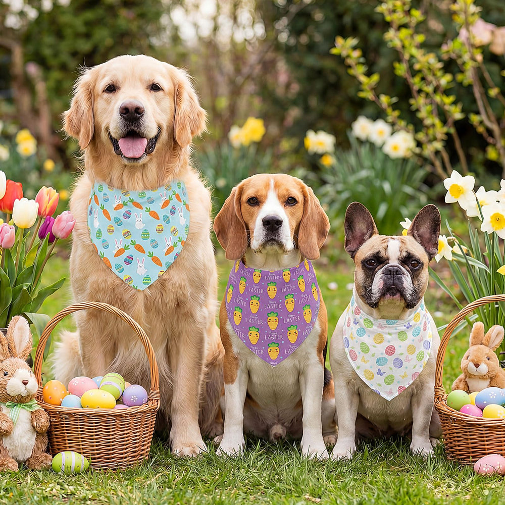 Abbylike bandanas de Pascua para perros con flores, acabado suave para fotos en exterior.