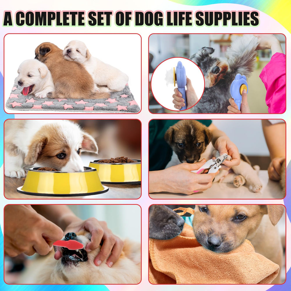 Abbylike kit inicio cachorros: correa para paseos seguros.