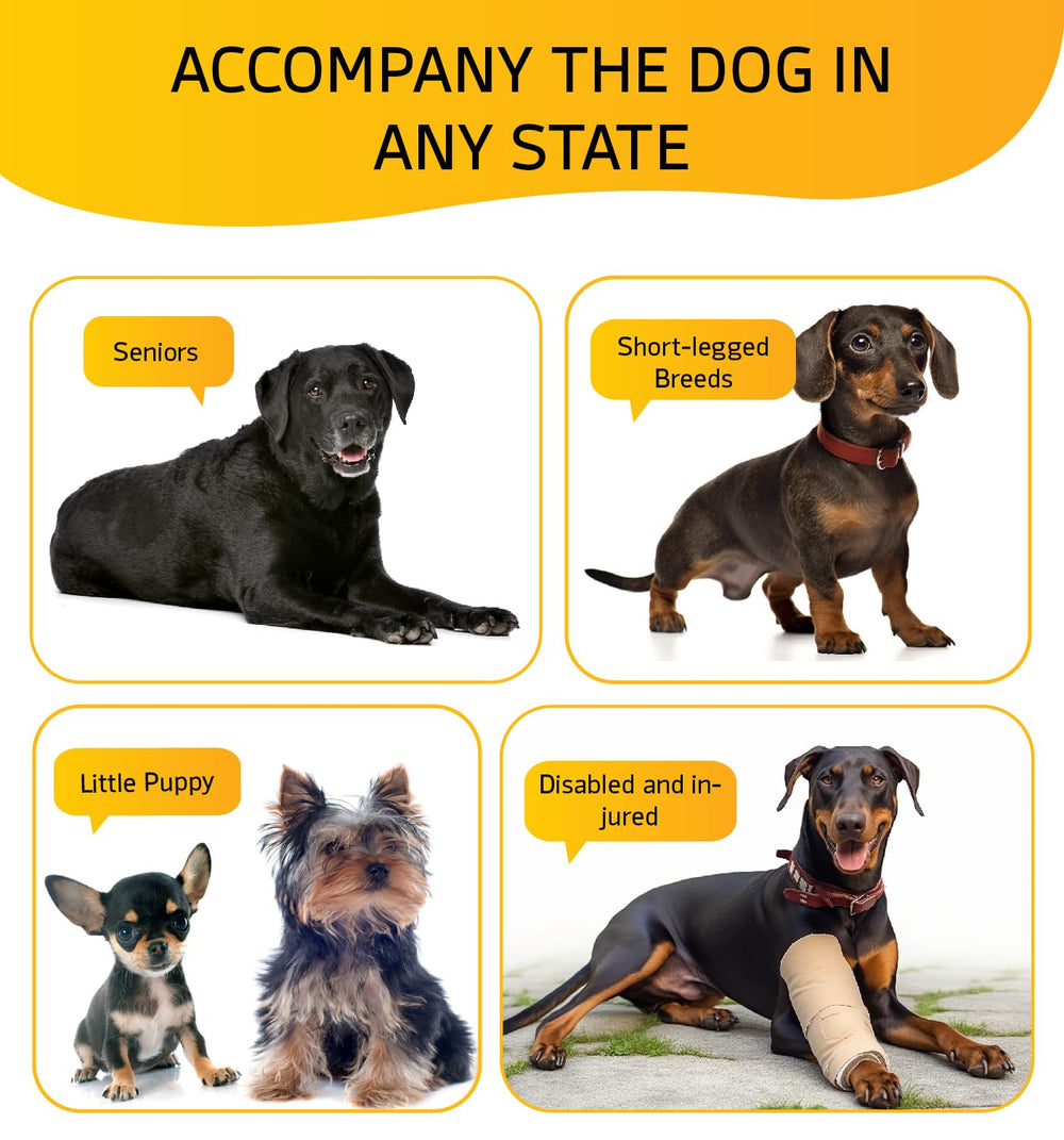 ABCPET escaleras-perro-cama-alta-5: estructura robusta y plegable para viaje.