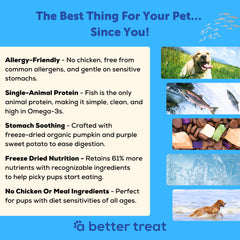 A Better Treat salmón liofilizado aporta proteína principal y aroma