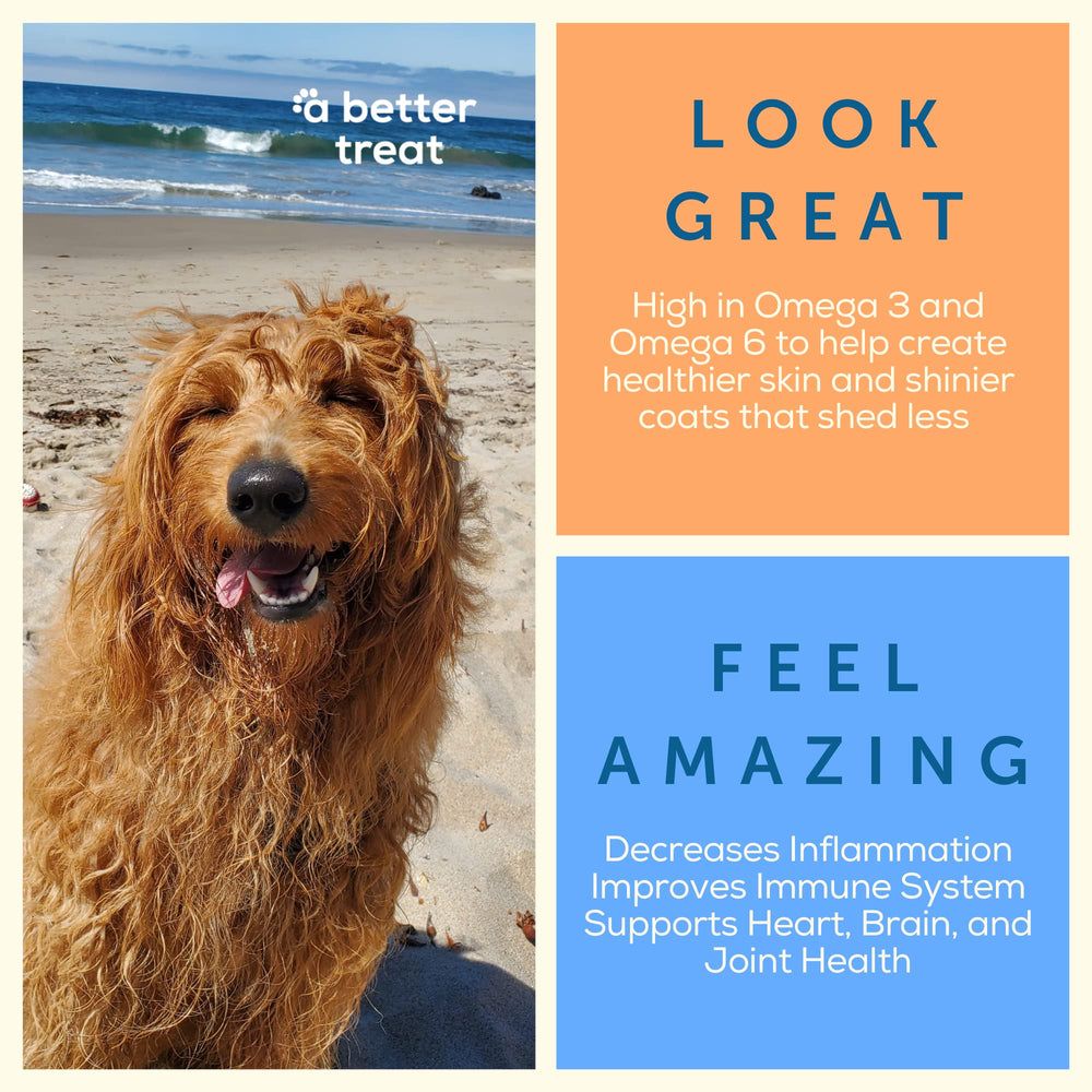 A Better Treat salmón sostenible en EE.UU., calidad regulada