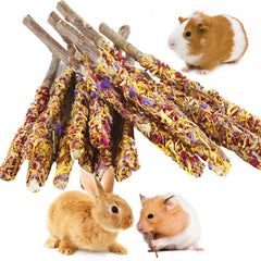 Abizoo Bunny Chew Toys: palitos de manzana con pétalos, para dientes sanos