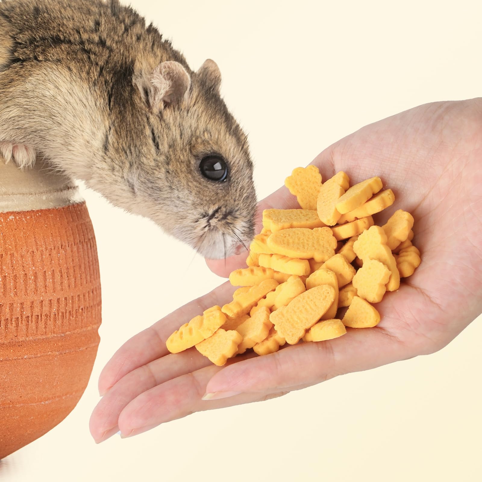 Abizoo dental-salud-hamster, mordisco natural para higiene dental.