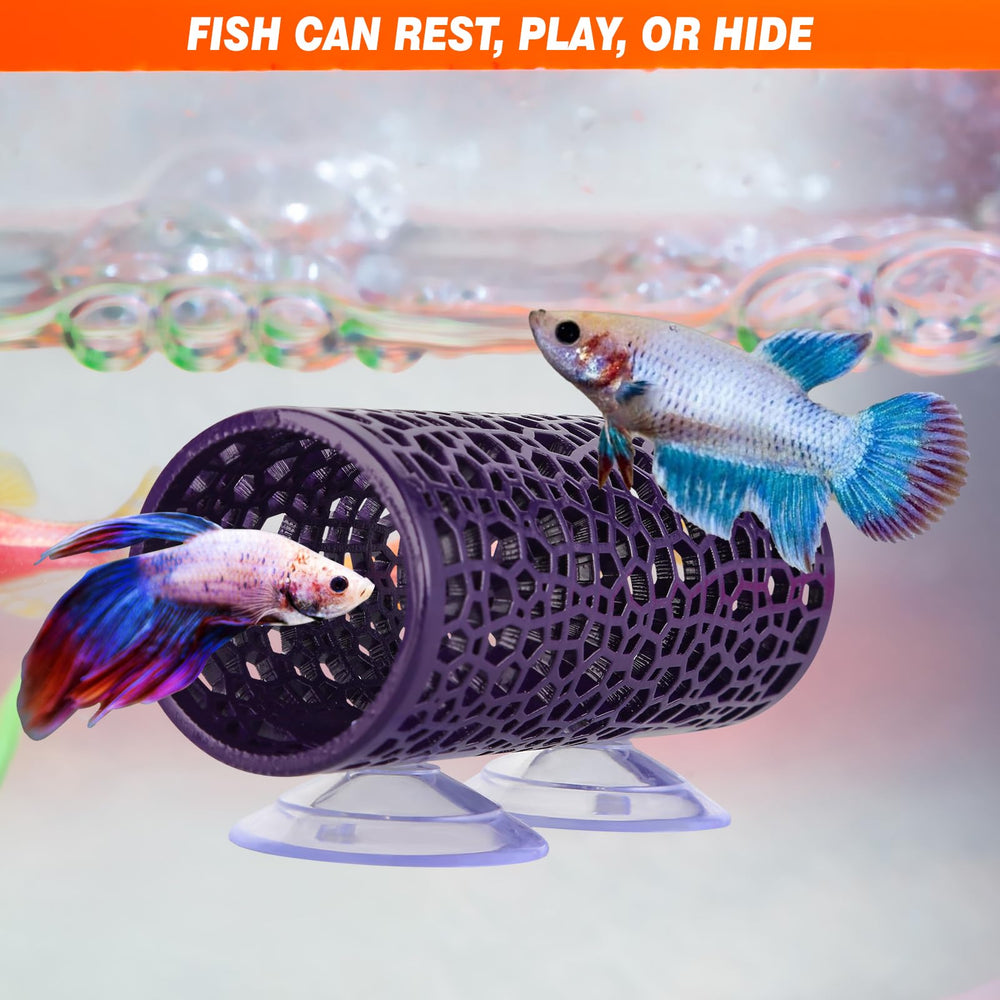 Abizoo túnel para peces pequeños: fácil de montar y mover.