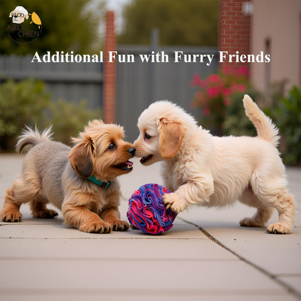 Ablechien Snuffle Ball ayuda a comer con calma al buscar premios.