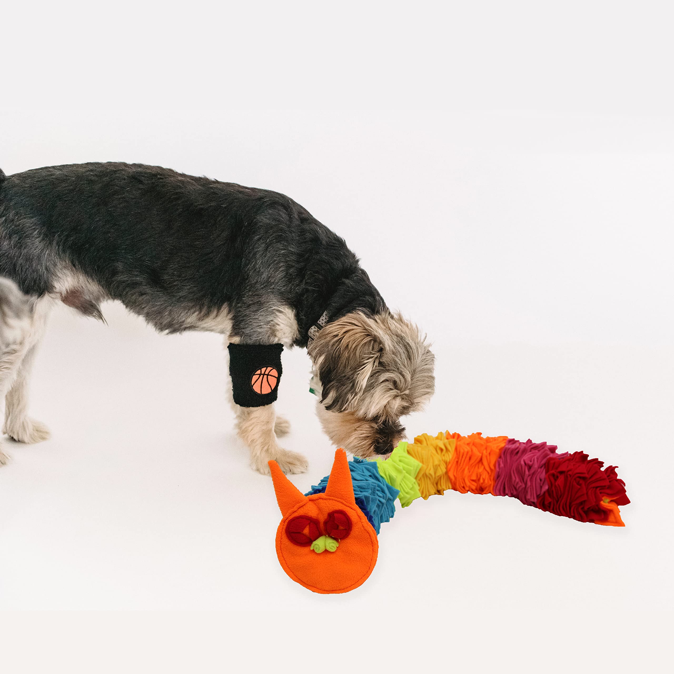 Ablechien Serpiente Snuffle Rainbow, diseño apto para perros de diferentes tamaños