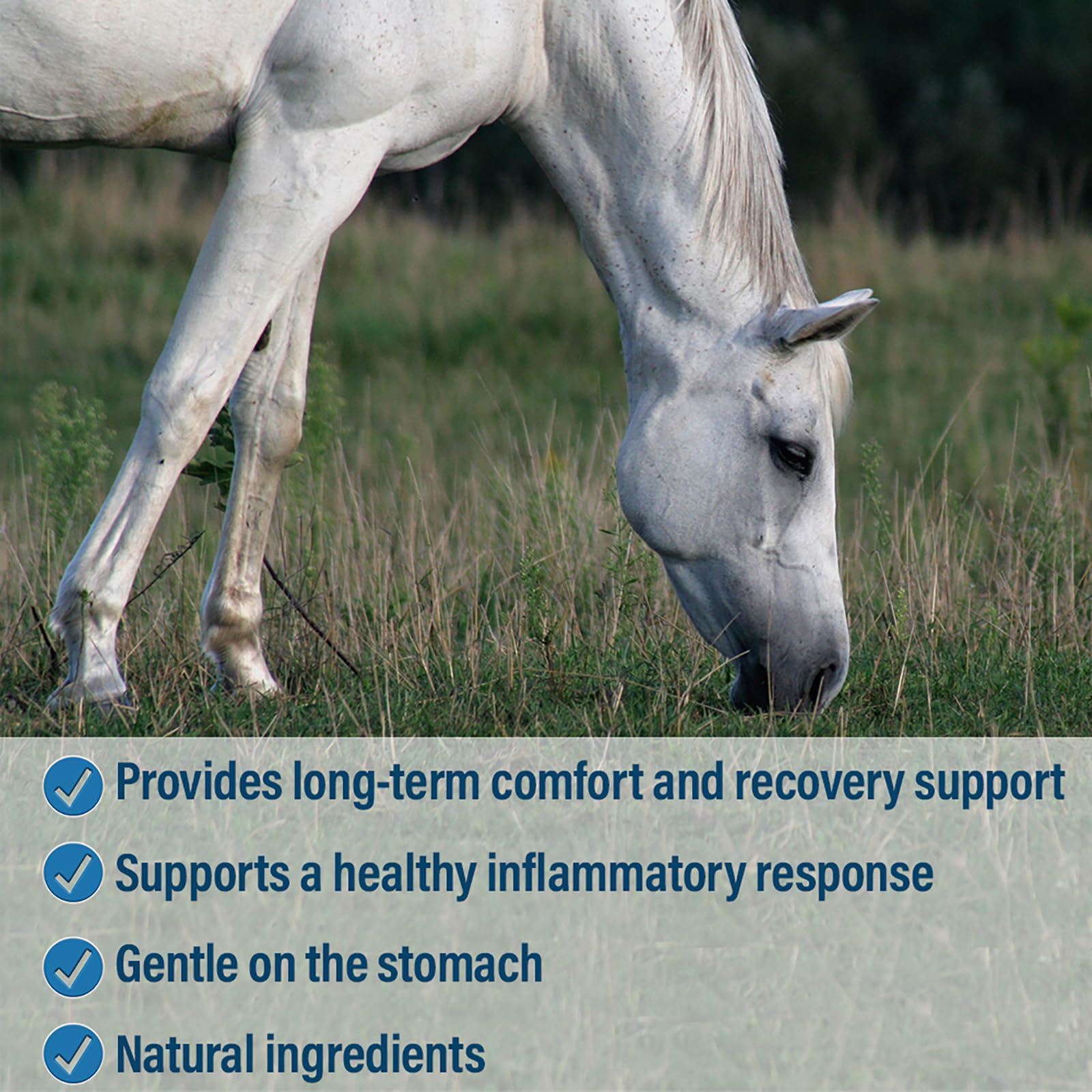 Absorbine Bute-Less dosis semanal para uso en caballos.