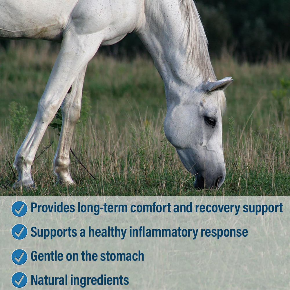 Absorbine Bute-Less dosis semanal para uso en caballos.