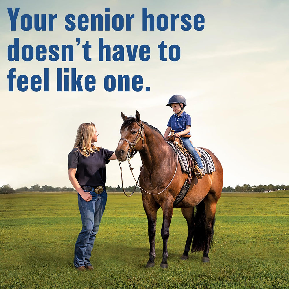 Absorbine Bute-Less aplicación suave para caballos durante el entrenamiento.