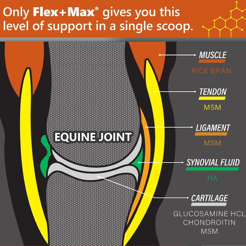 Absorbine Flex+Max granulado para articulaciones, ofrece soporte diario sin rellenos.