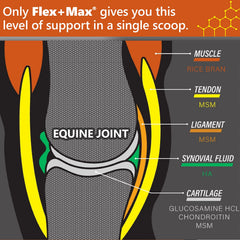 Absorbine Flex+Max granulado para articulaciones, ofrece soporte diario sin rellenos.