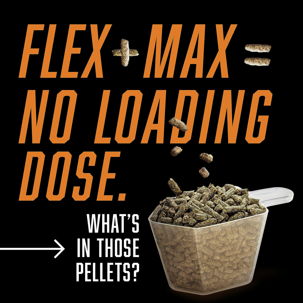 Absorbine Flex+Max: apoyo para músculos, tendones y ligamentos del caballo.