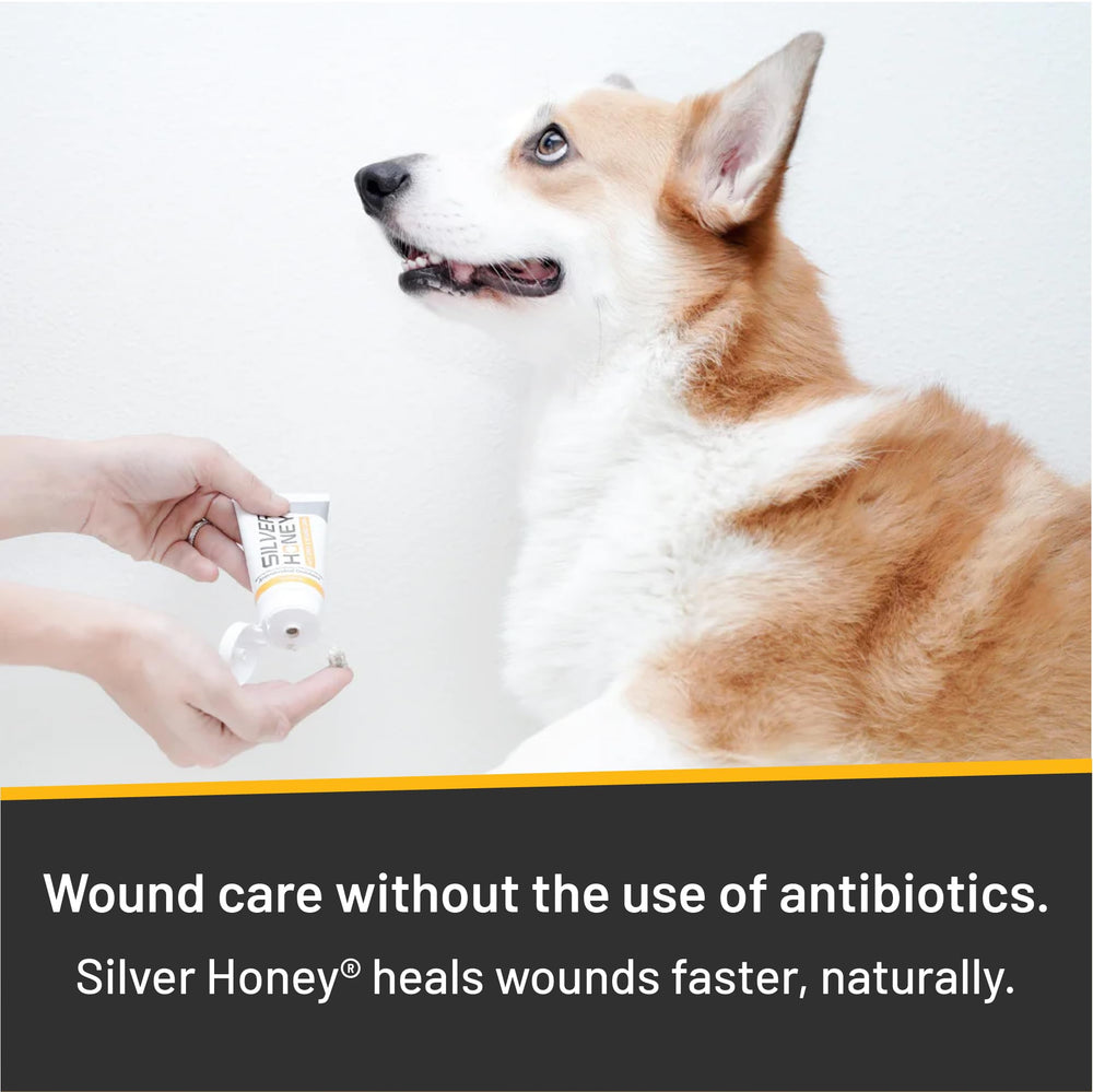 Absorbine Silver Honey Ungüento ayuda a proteger de irritaciones leves