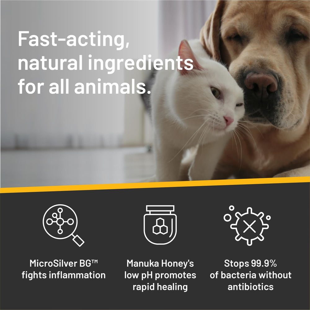 Absorbine Silver Honey Ungüento para zonas afectadas en mascotas pequeñas