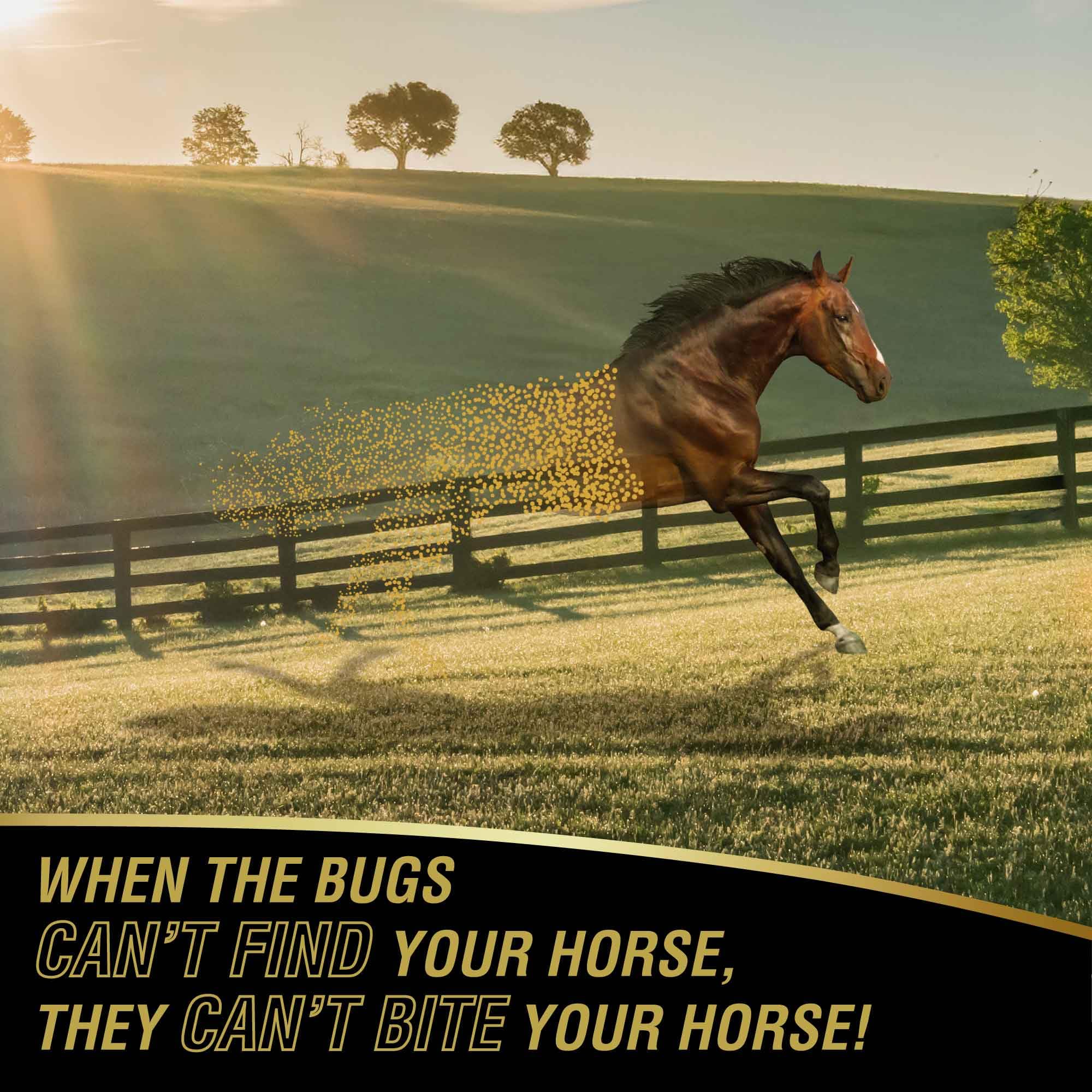 Absorbine UltraShield Gold: caballo en establo recibiendo protección contra insectos.