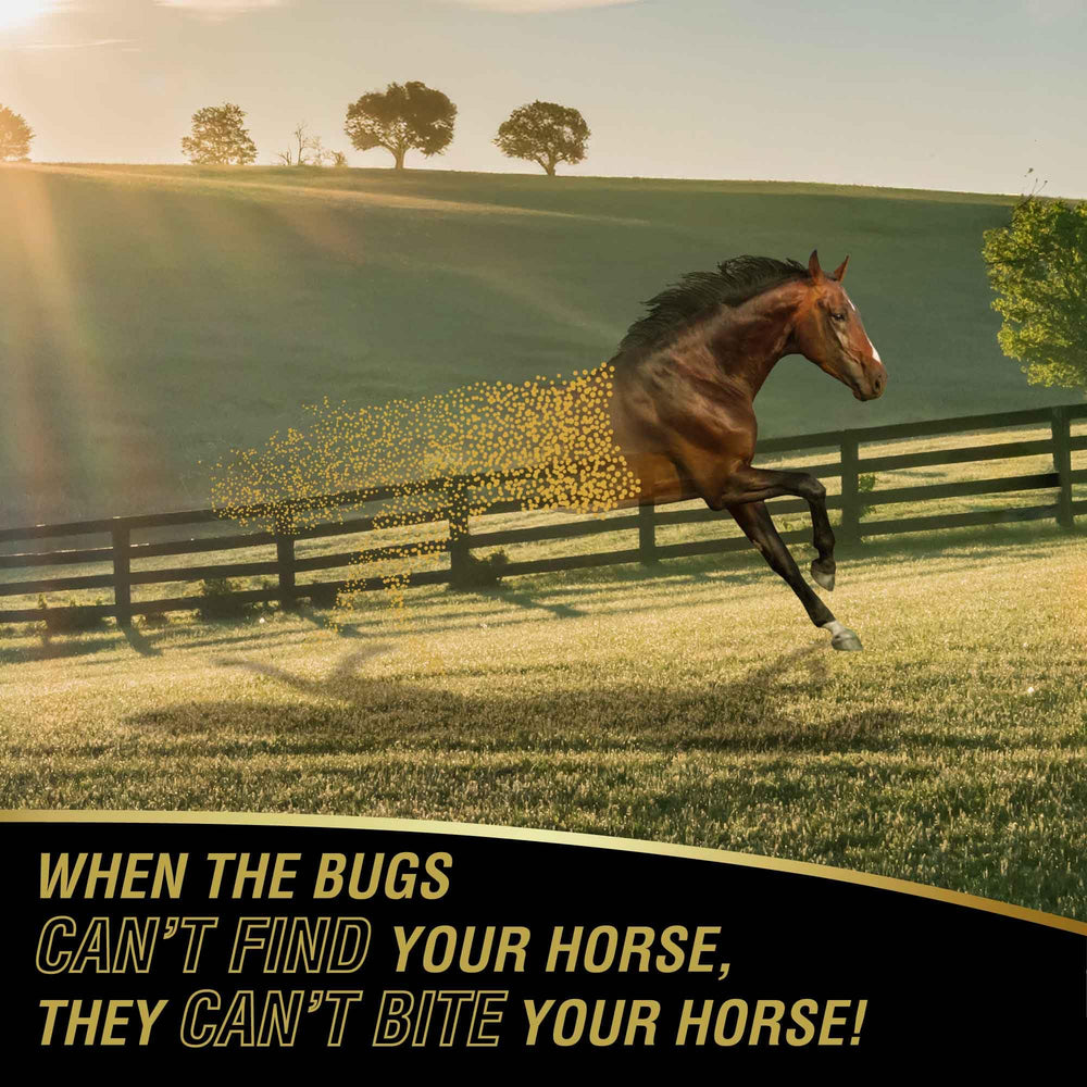 Absorbine UltraShield Gold ofrece protección para caballos durante el trabajo