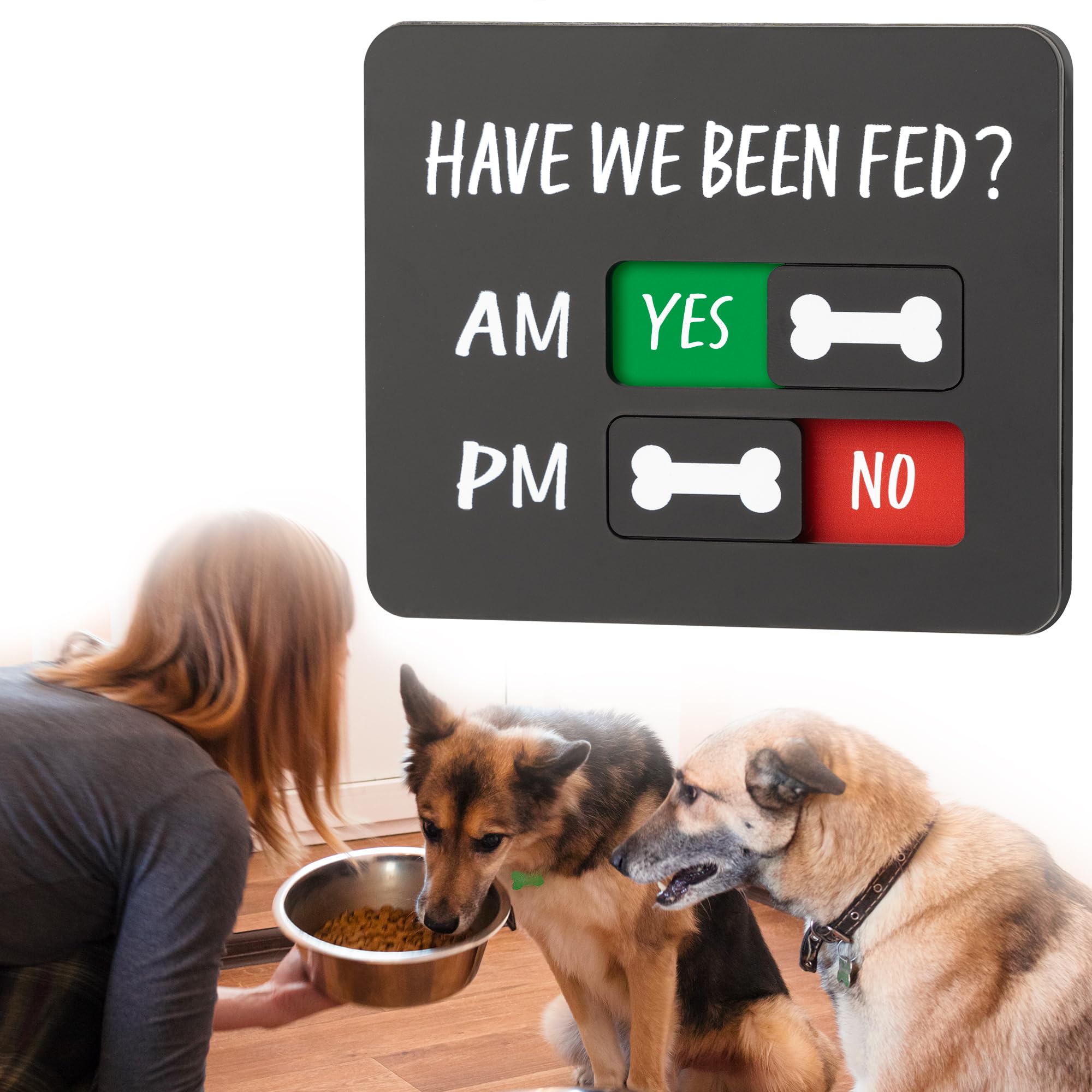 Abudada imán-recordatorio de alimentación para perro en nevera facilita la gestión diaria.