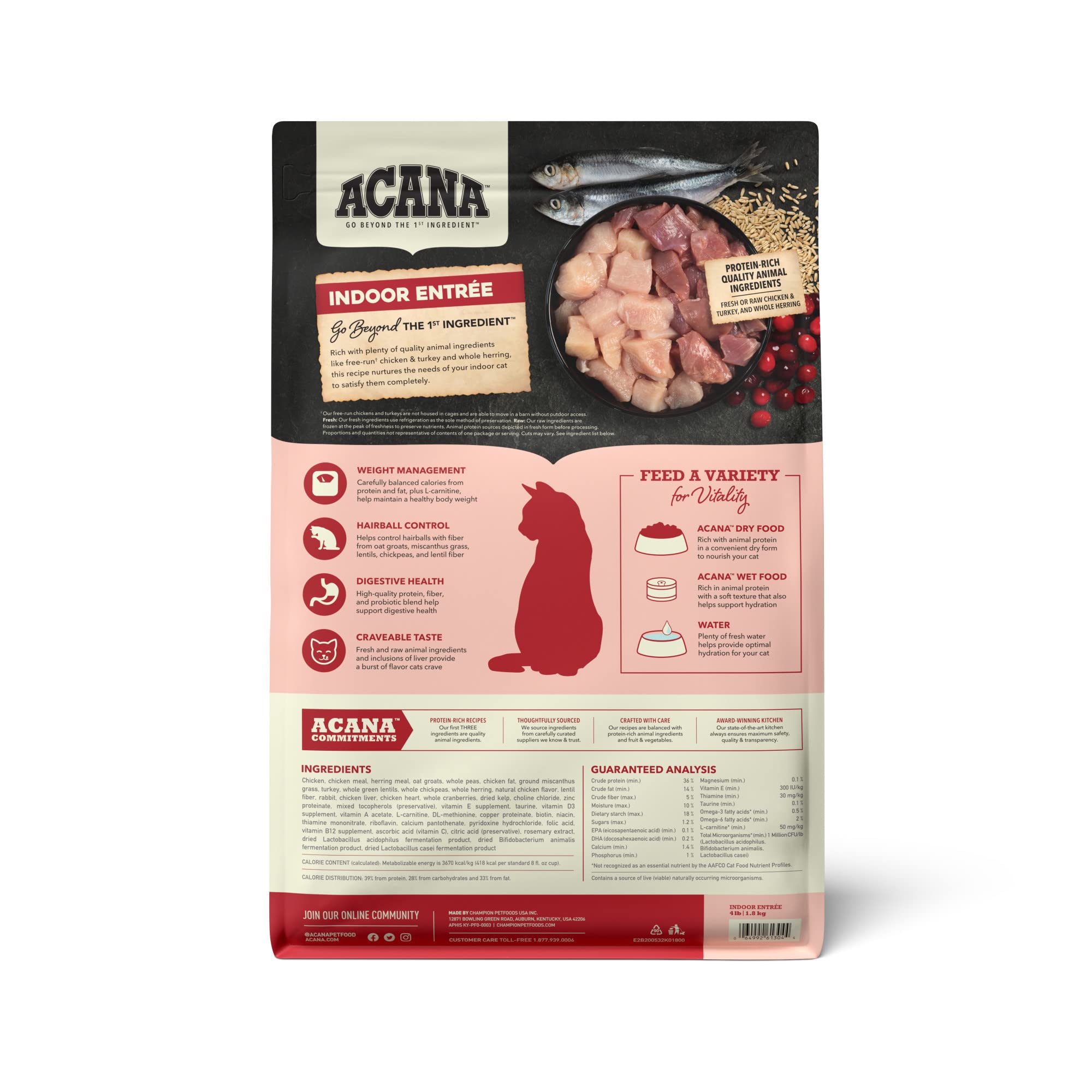 ACANA Indoor Entree, gato interior comiendo, promueve una dieta balanceada.