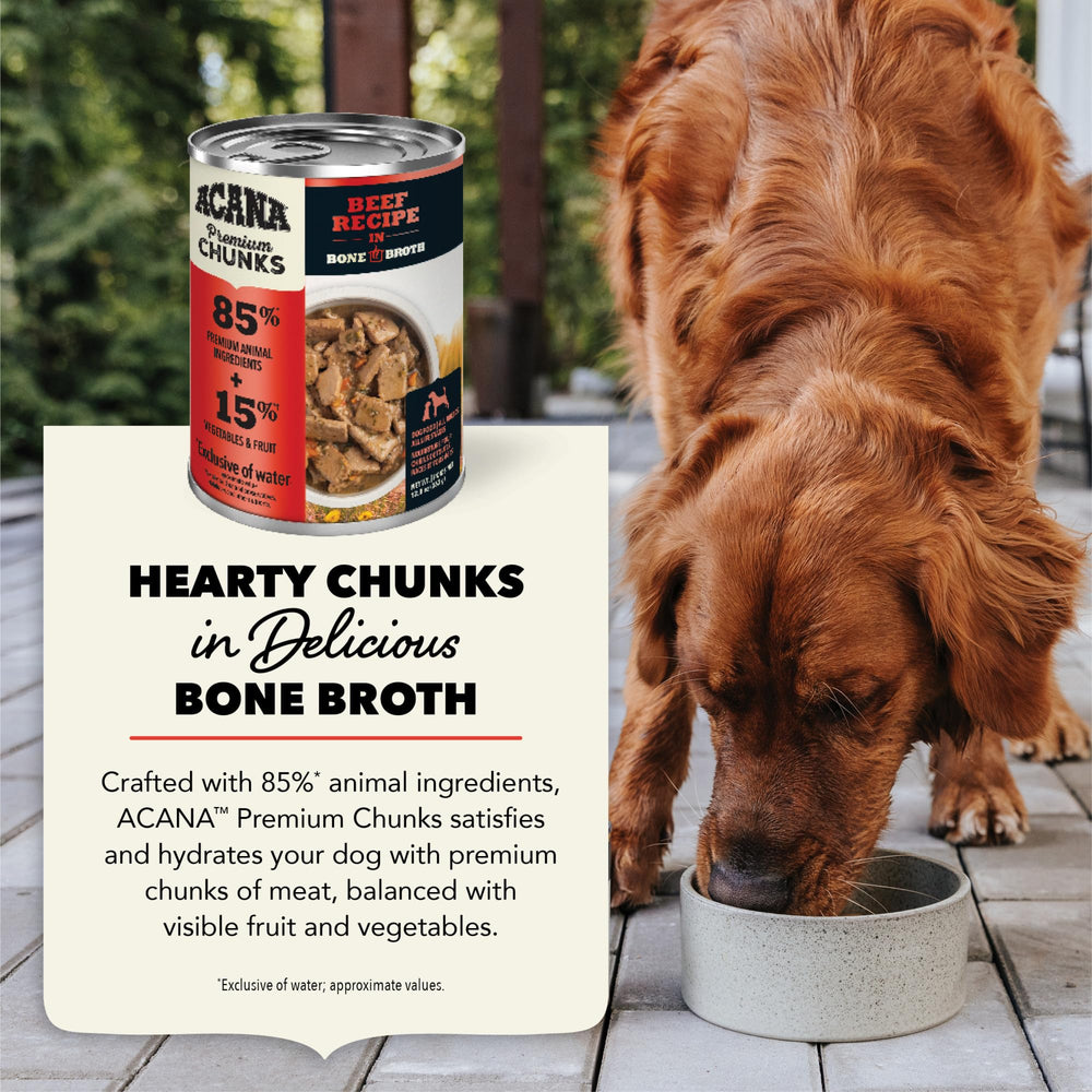 ACANA Premium Chunks Beef Recipe sin granos para dieta natural.