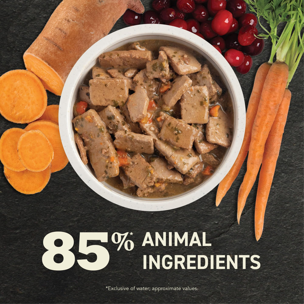 ACANA Premium Chunks Beef Recipe como aderezo sabroso para croquetas de perro.