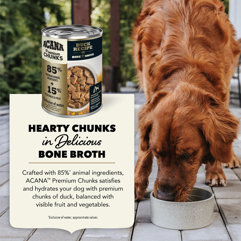 ACANA Premium Chunks pato en caldo de hueso, combinable con croquetas para sabor y humedad.