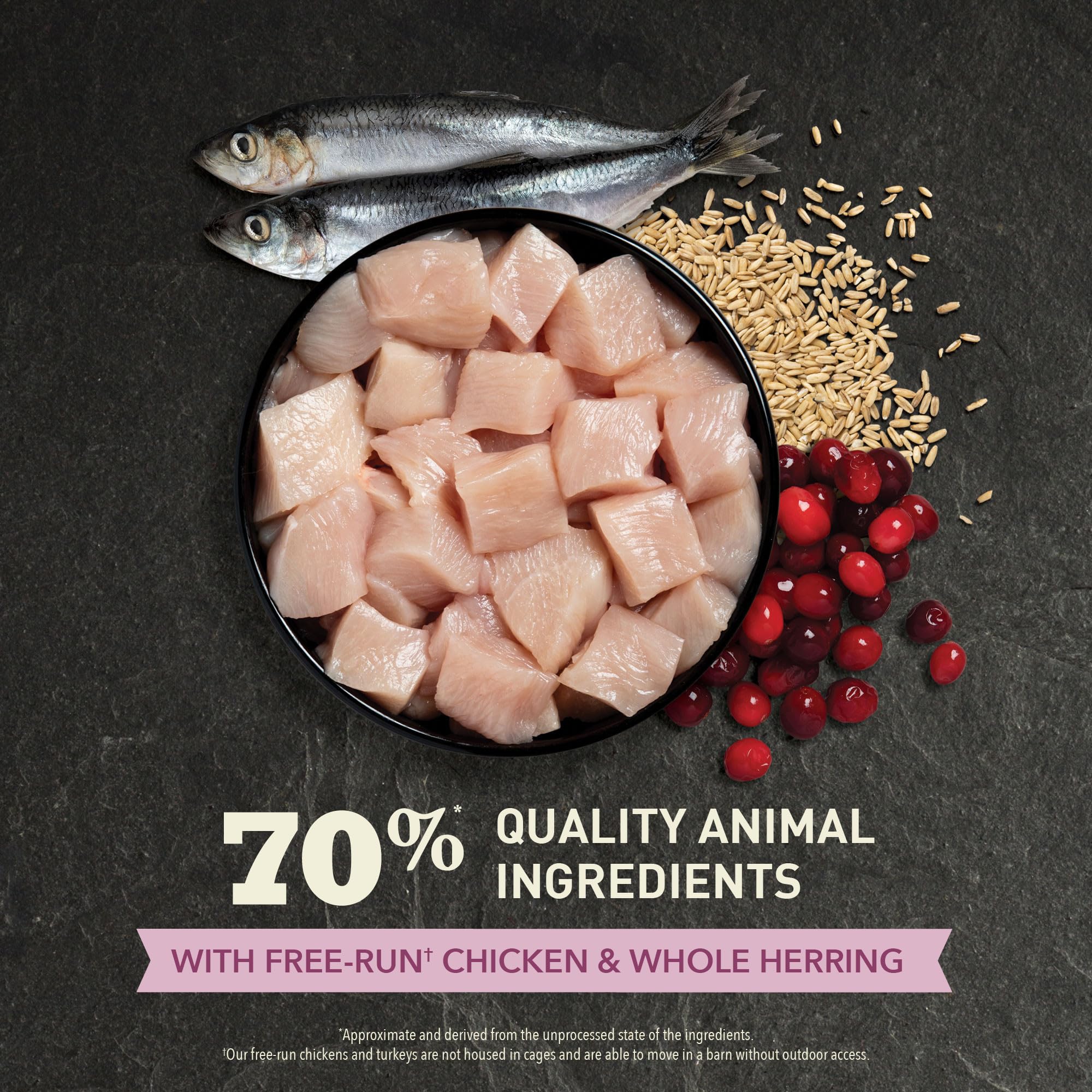 ACANA First Feast omega 3-6 para piel y brillo