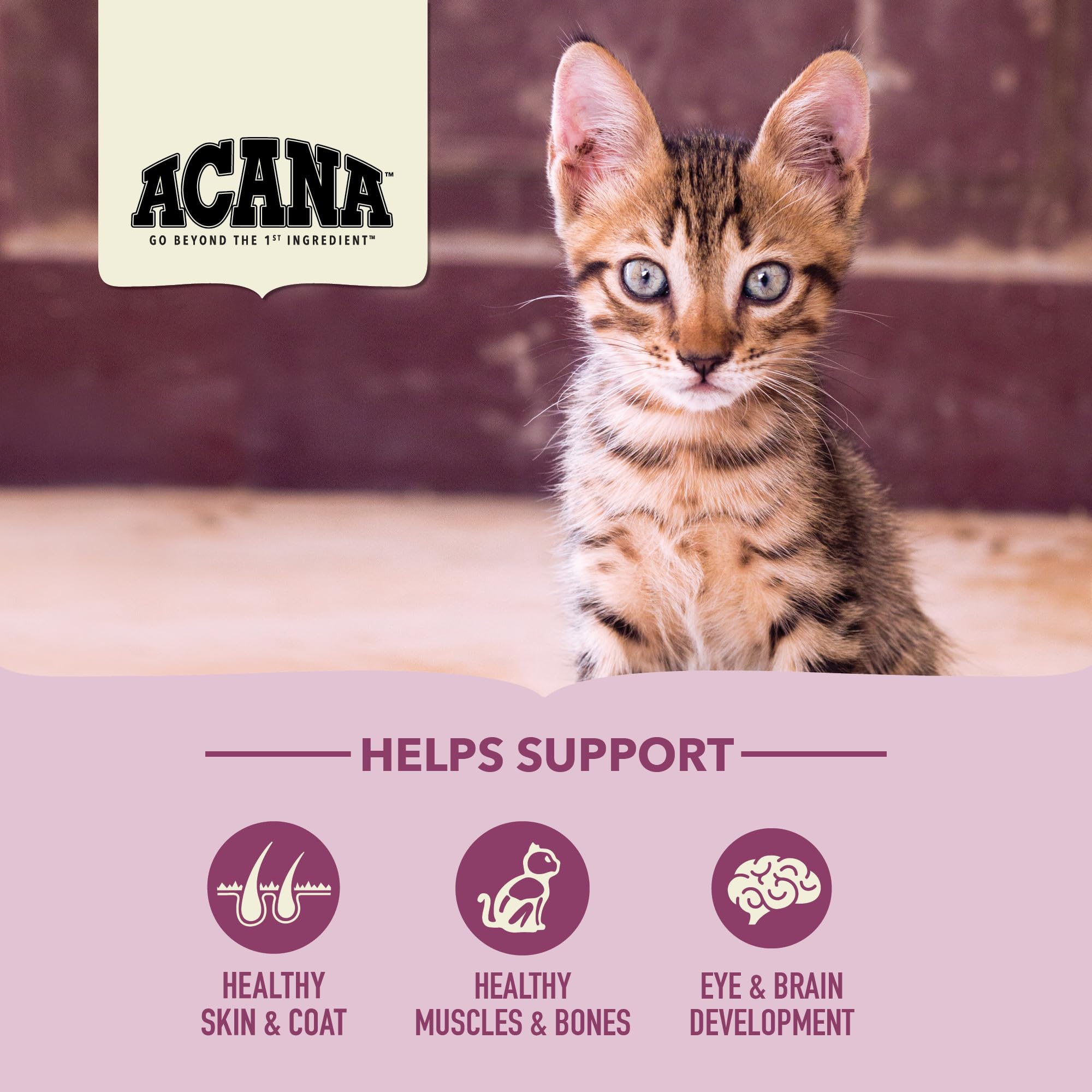 ACANA First Feast sin granos para gatitos