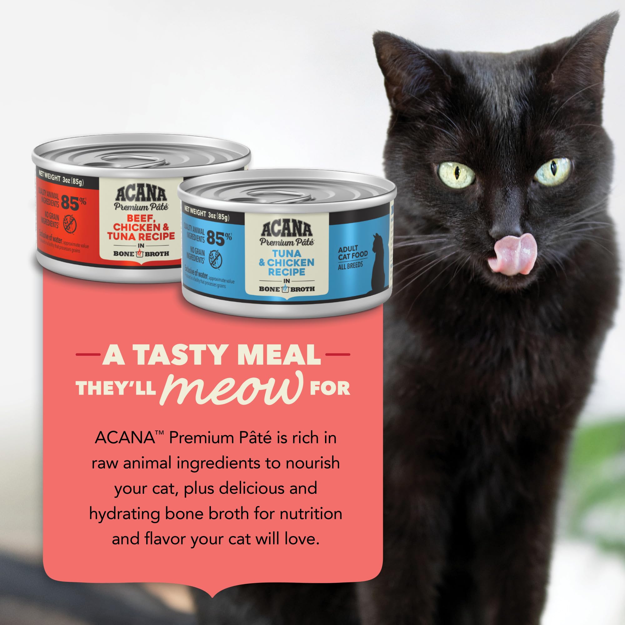 ACANA Surf y Turf gato-disfruta-pate, muestra un felino satisfecho.