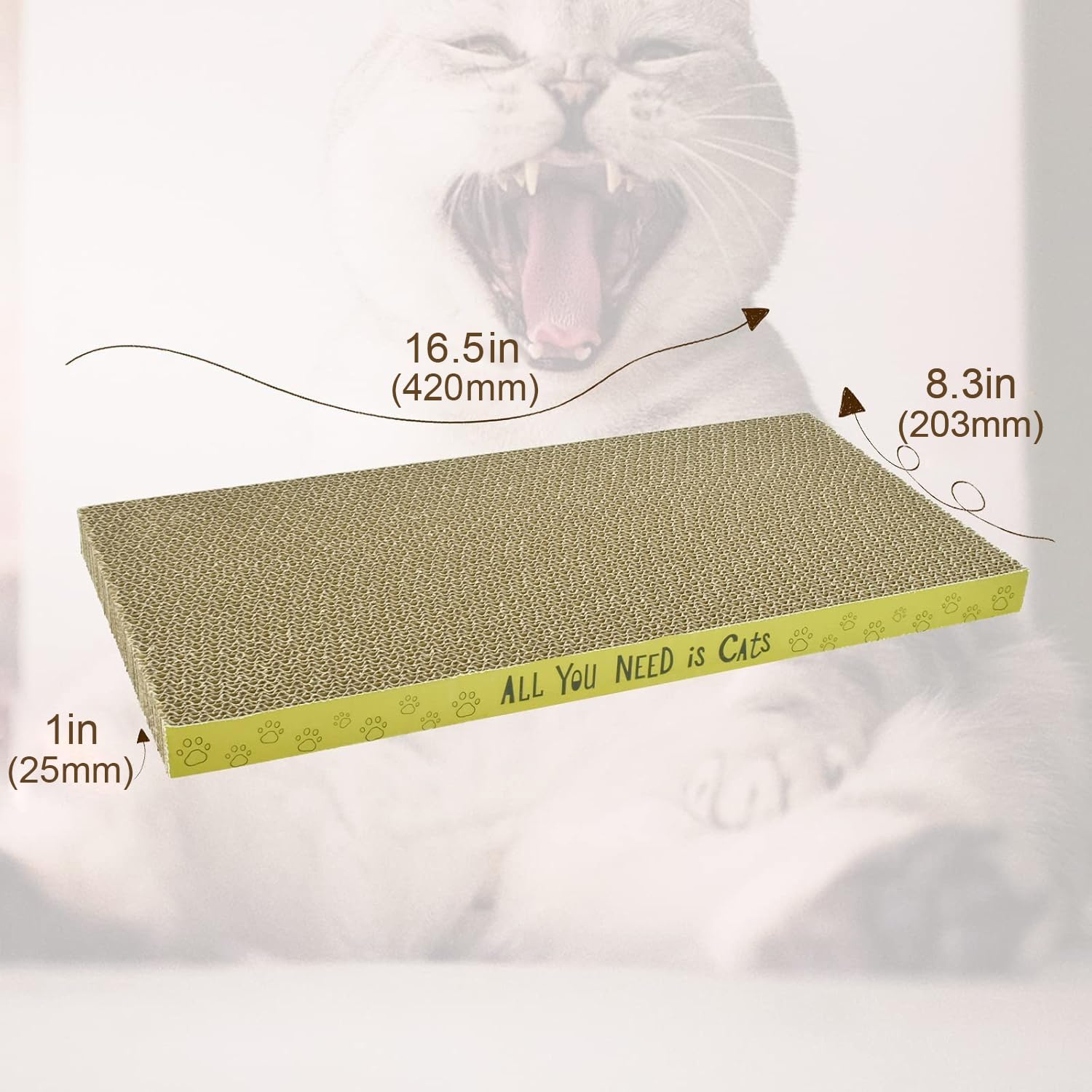 Griffoir AccEncyc en carton rectangulaire, utilisation réversible pour plus de longévité.