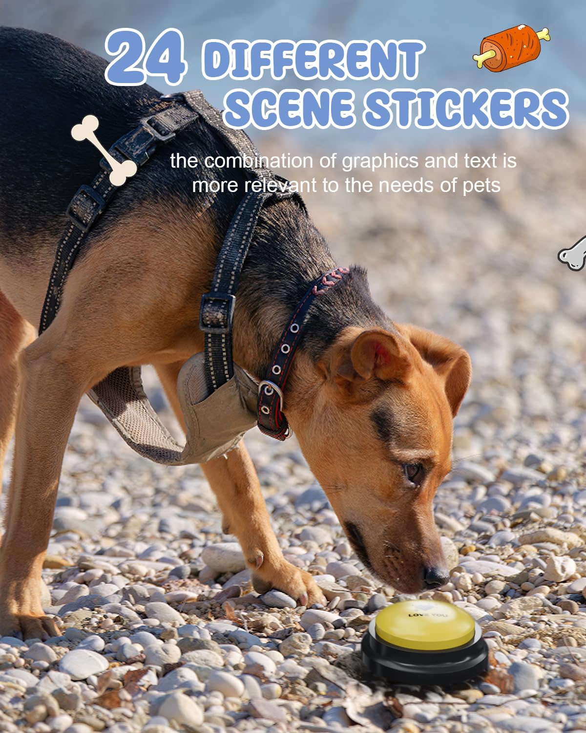 Acools pegatinas de escena 24 para personalizar juegos de entrenamiento.