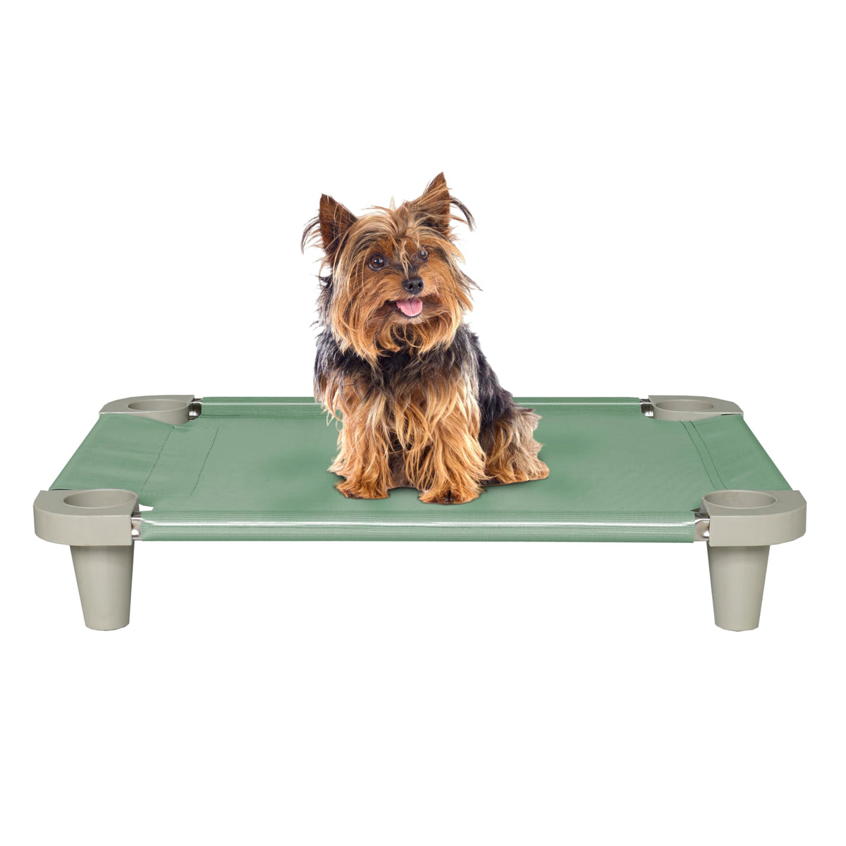 Cama elevada Acrimet con malla ventilada, ideal para perros pequeños en interiores.