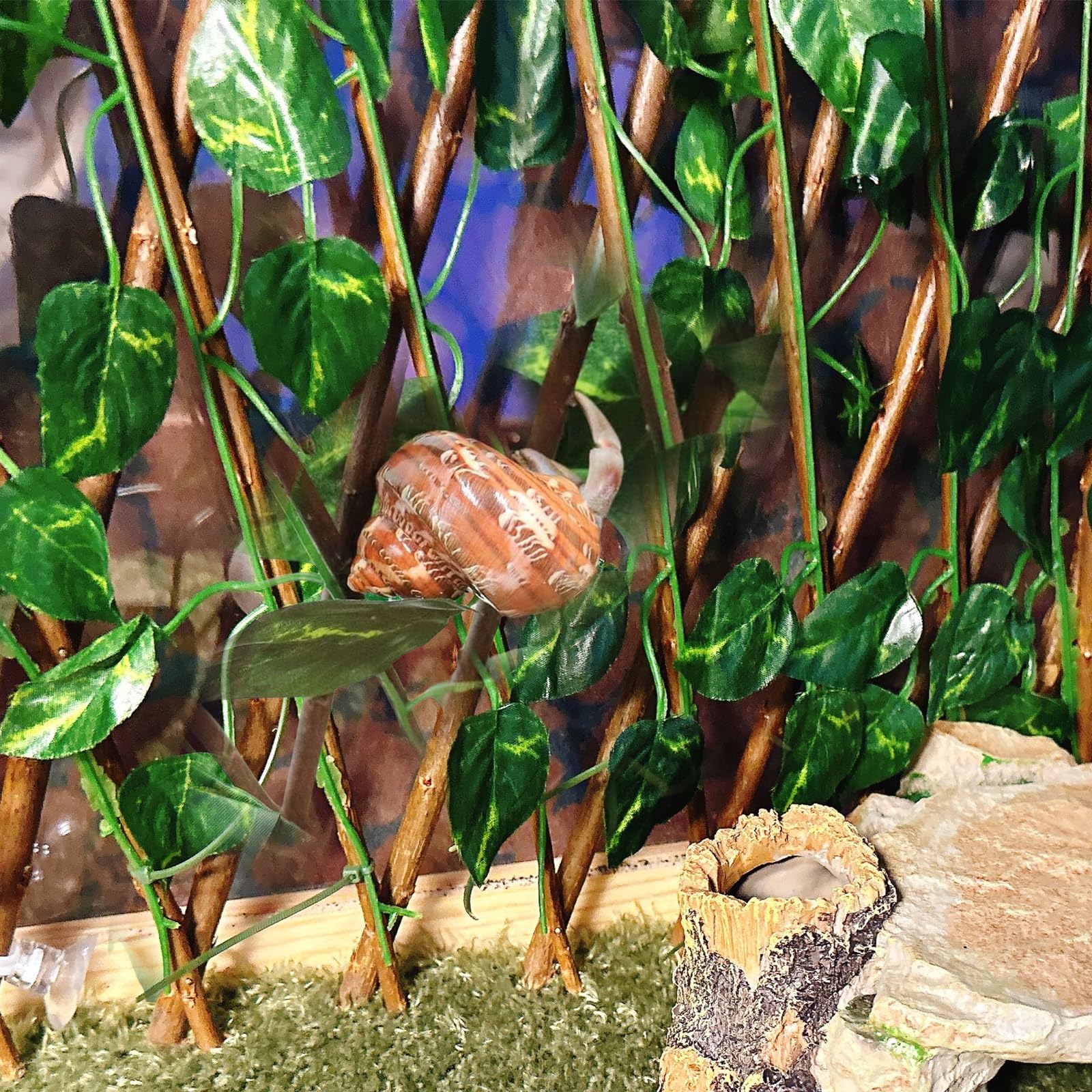 Acsist decoración vegetal acuario: añade color y vegetación simulada.