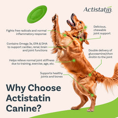 Actistatin glucosamina, condroitina y MSM: ingredientes clave para movilidad.