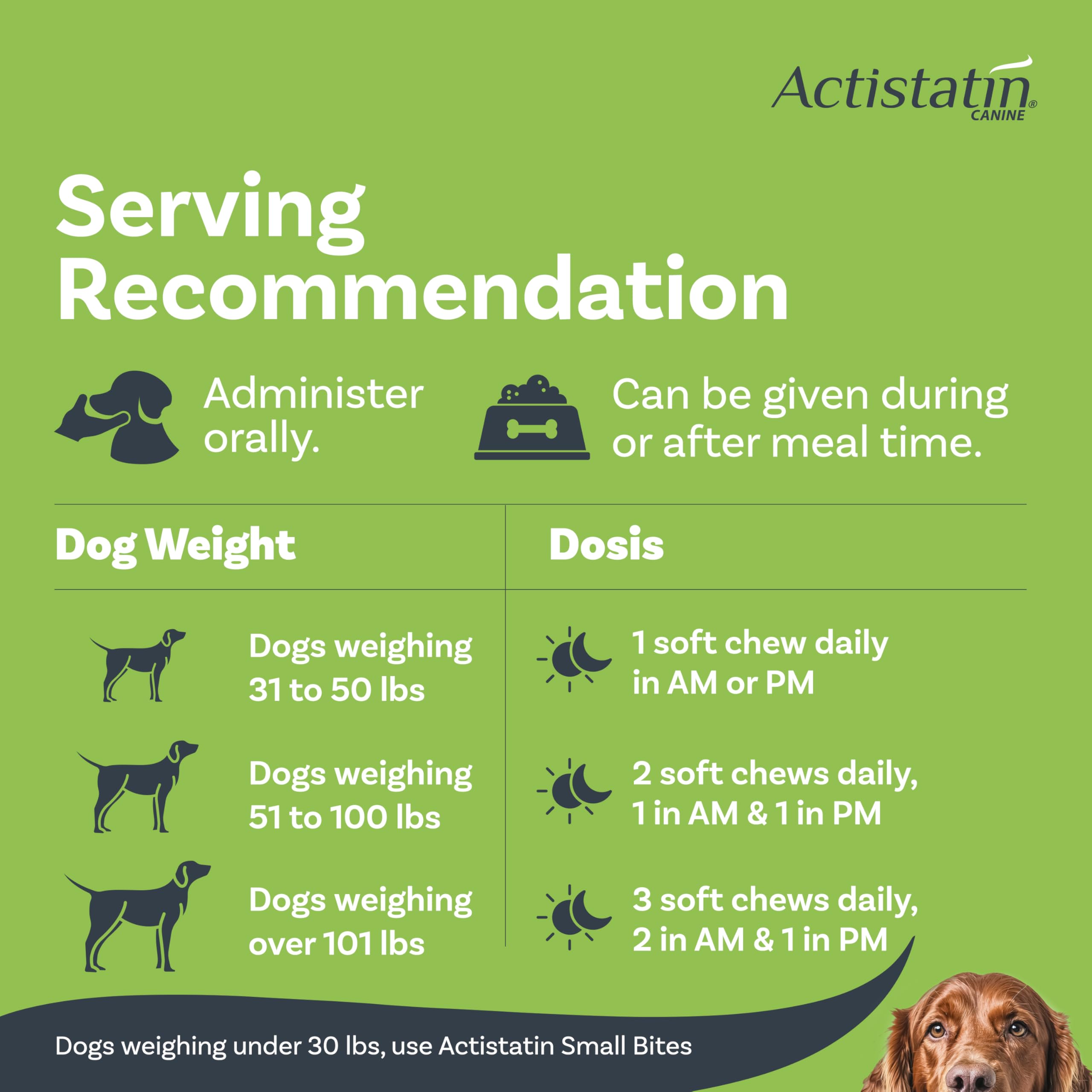 Actistatin perro grande disfruta de masticable diario, fácil de consumir.