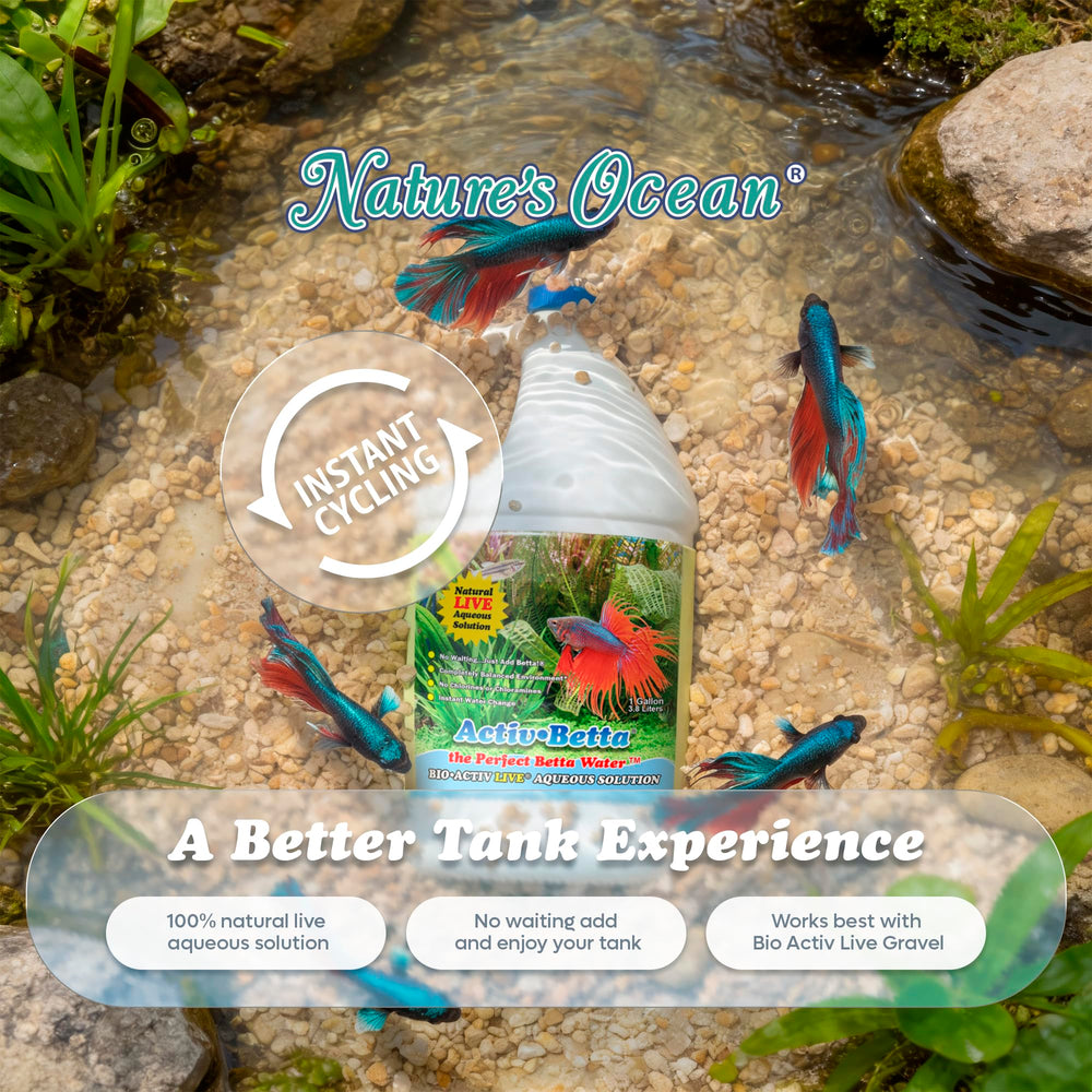 Activ Betta Bio-Activ Live: solución natural para agua estable y fácil de mantener.