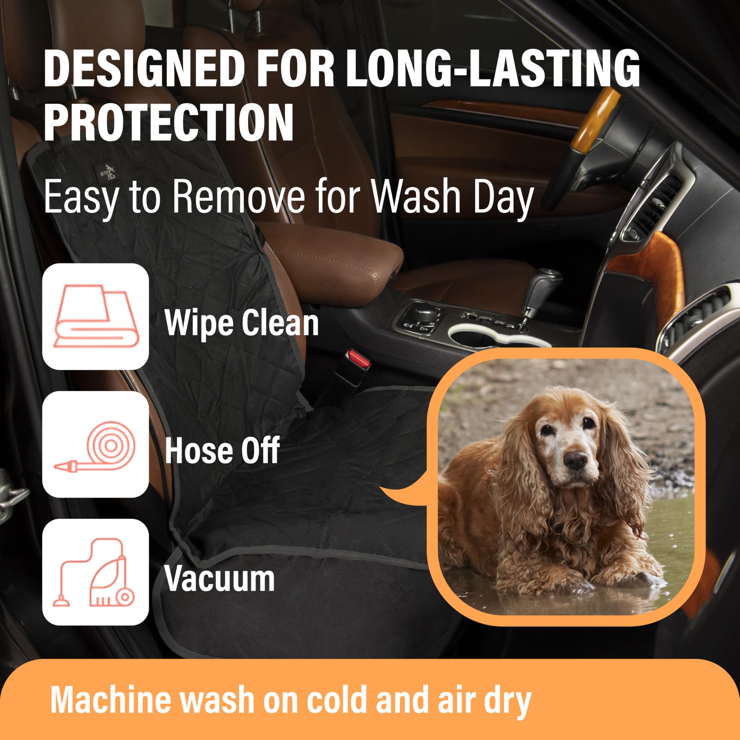 Active Pets anclajes y base antideslizante mantienen al perro estable.