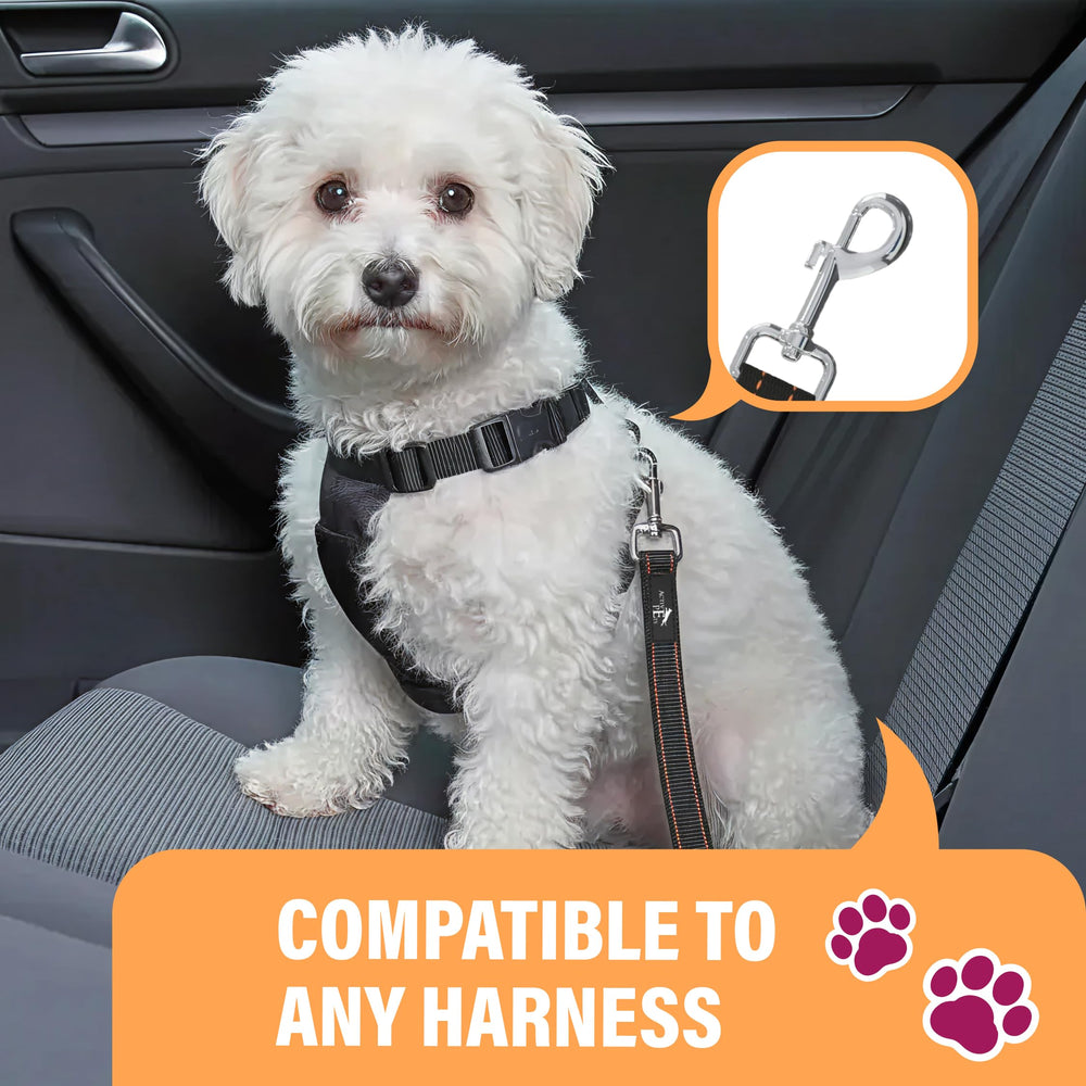 Active Pets, système d'attache universel pour harnais ou collier, utilisation polyvalente.