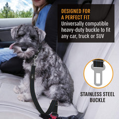 Active Pets sangle réglable chien bleu, ajustement personnalisé pour tous les chiens