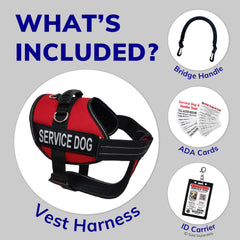 ActiveDogs asa puente clip-on, control adicional durante caminatas y entrenamiento.