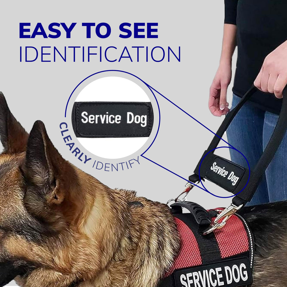 ActiveDogs: nylon reforzado, durabilidad para uso diario.