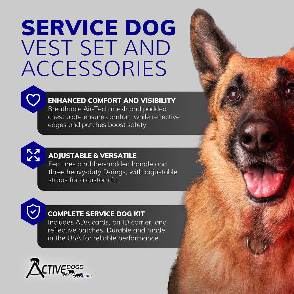 Activedogs parches reflectantes para mayor visibilidad nocturna
