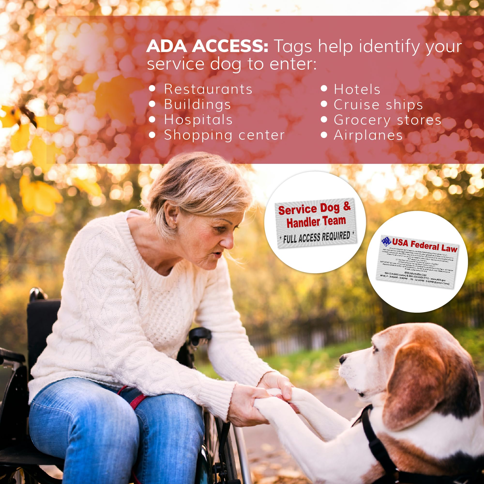 ActiveDogs parches reflectivos, mayor visibilidad en poca luz.